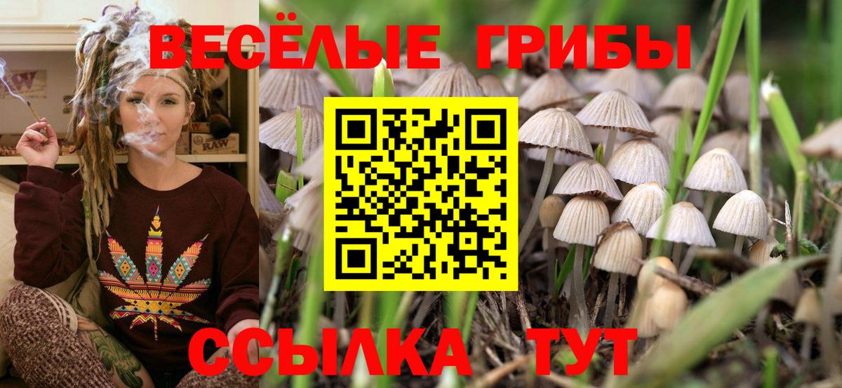 Галлюциногенные грибы Cubensis Ливны